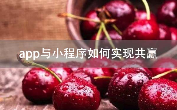 app開發(fā)與小程序開發(fā)如何實(shí)現(xiàn)共贏？-咕嘟網(wǎng)絡(luò)科技