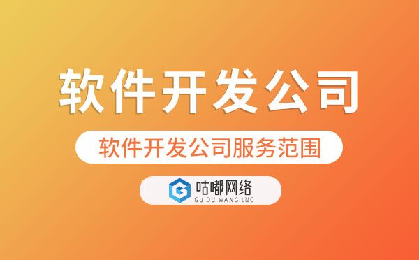軟件開發(fā)公司業(yè)務(wù)范圍包括哪些？