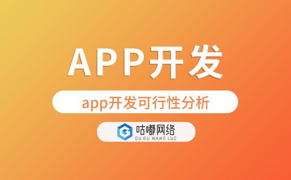 app開發(fā)項(xiàng)目可行性分析.jpg