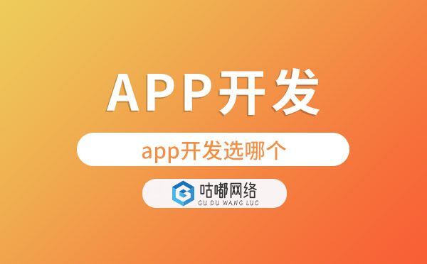 app開(kāi)發(fā)選哪個(gè)【app開(kāi)發(fā)公司】
