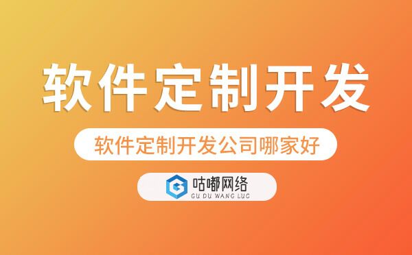 軟件定制開發(fā)公司哪家好「軟件公司排名」