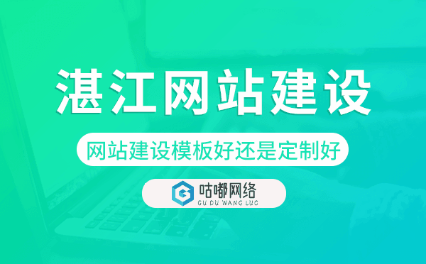 湛江網(wǎng)站建設(shè)模板好還是定制好