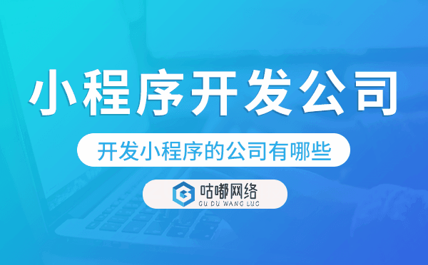 開(kāi)發(fā)小程序的公司有哪些-小程序開(kāi)發(fā)公司.png