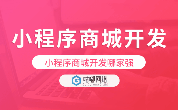 小程序商城開發(fā)哪家強(qiáng),小程序商城開發(fā)公司.png