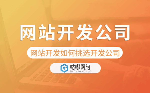 企業(yè)網(wǎng)站開發(fā)如何挑選網(wǎng)站開發(fā)公司