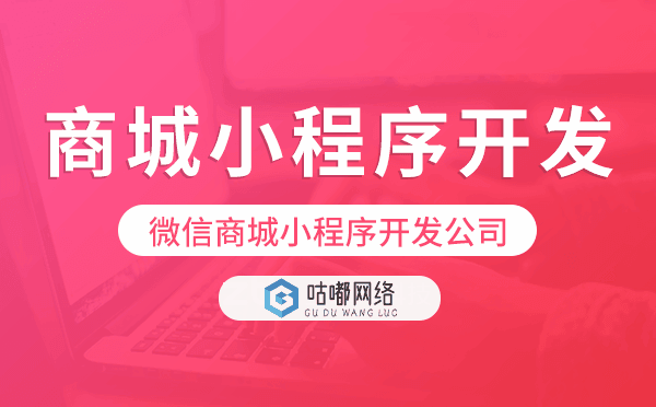 微信商城小程序開發(fā)公司哪家值得推薦？