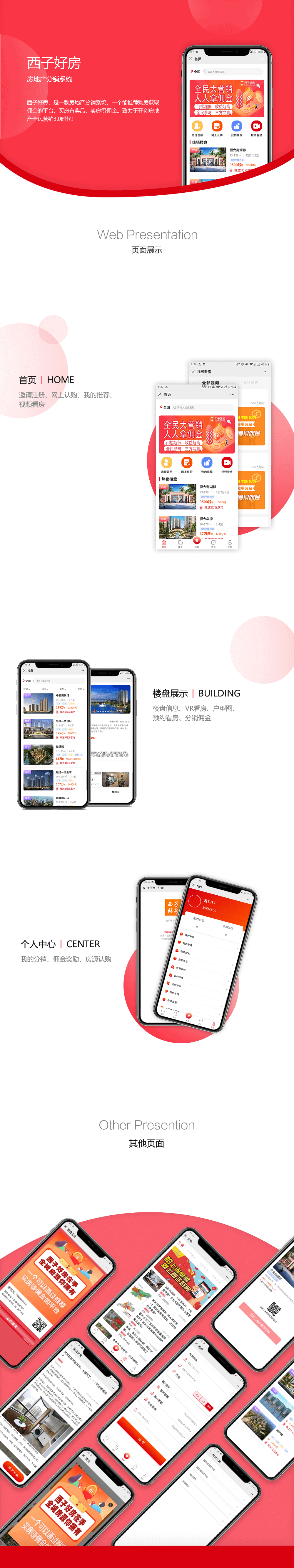 房地產(chǎn)分銷系統(tǒng)項目詳情