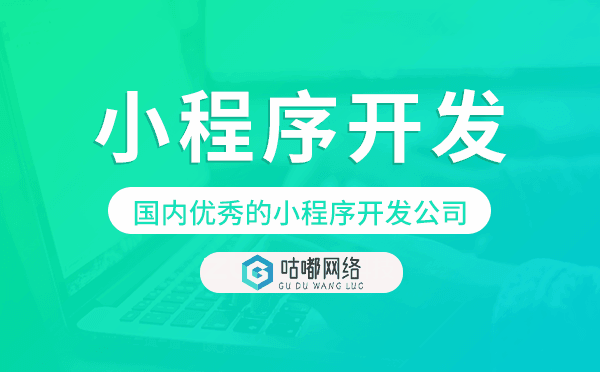 小程序開發(fā)商排名,國(guó)內(nèi)優(yōu)秀的小程序開發(fā)公司.png
