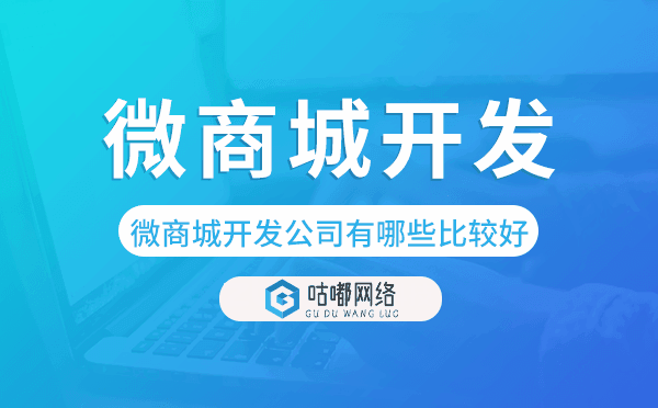 微商城開發(fā)公司有哪些比較好的