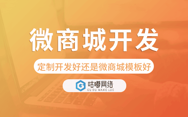 微商城開發(fā)選擇定制好還是微商城模板好