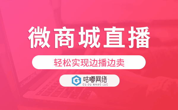 微商城直播,輕松實(shí)現(xiàn)邊播邊賣
