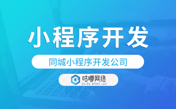 同城小程序定制化開發(fā)，小程序開發(fā)公司