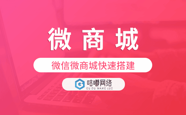 微商城怎么弄,微信微商城快速搭建.png