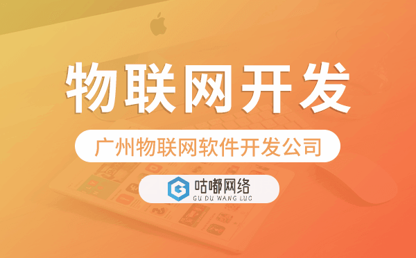 物聯(lián)網(wǎng)軟件開發(fā)公司,重慶物聯(lián)網(wǎng)開發(fā)公司