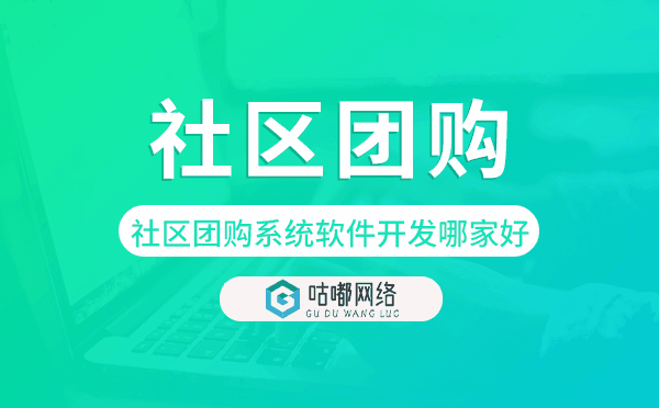社區(qū)團購系統(tǒng)軟件開發(fā)哪家好