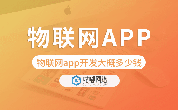 物聯(lián)網(wǎng)app開發(fā)大概多少錢,物聯(lián)網(wǎng)app開發(fā)