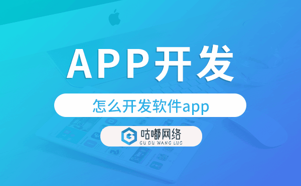 怎么開發(fā)軟件app?專業(yè)app開發(fā)公司