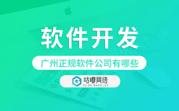 重慶正規(guī)軟件公司有哪些,重慶軟件開發(fā)公司