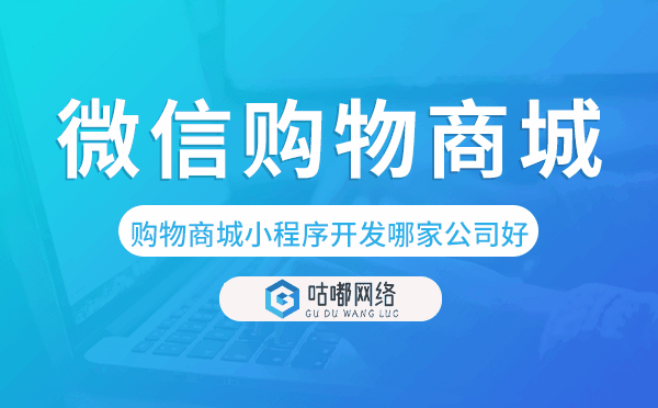 微信購物商城小程序開發(fā)哪家公司好