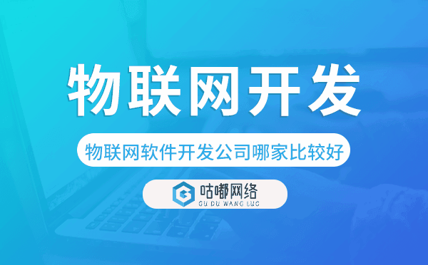 物聯(lián)網(wǎng)軟件開發(fā)公司哪家比較好-咕嘟網(wǎng)絡(luò)科技