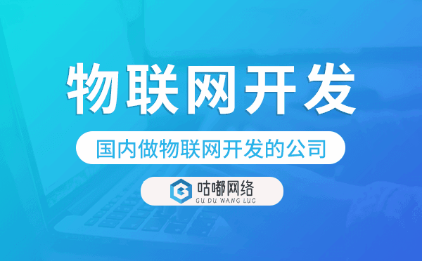 國(guó)內(nèi)做物聯(lián)網(wǎng)開發(fā)的公司,物聯(lián)網(wǎng)開發(fā)公司
