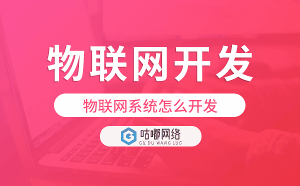 物聯(lián)網(wǎng)系統(tǒng)怎么開發(fā),物聯(lián)網(wǎng)系統(tǒng)開發(fā)