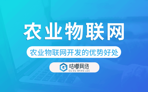 農(nóng)業(yè)物聯(lián)網(wǎng)開發(fā)有什么優(yōu)勢好處.png