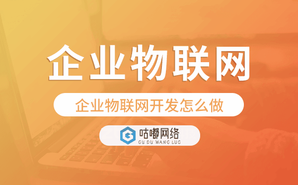 企業(yè)物聯(lián)網(wǎng)開發(fā)怎么做-咕嘟網(wǎng)絡(luò)科技