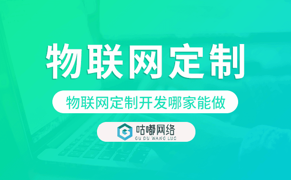物聯(lián)網(wǎng)定制開發(fā)哪家能做-咕嘟網(wǎng)絡(luò)科技.png