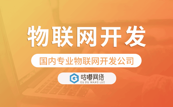 物聯(lián)網(wǎng)軟件開發(fā)公司【國內(nèi)專業(yè)物聯(lián)網(wǎng)開發(fā)公司】