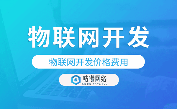 物聯(lián)網(wǎng)開發(fā)報價,物聯(lián)網(wǎng)開發(fā)價格費用