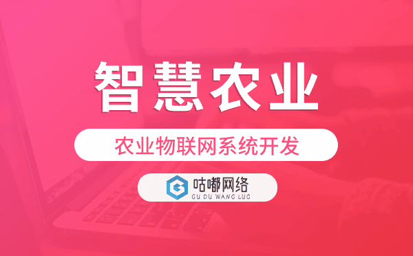 農(nóng)業(yè)物聯(lián)網(wǎng)系統(tǒng)開發(fā),智慧農(nóng)業(yè)解決方案