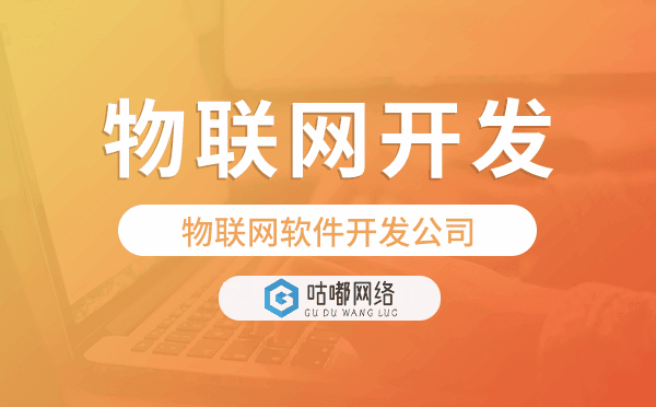 物聯(lián)網(wǎng)軟件開發(fā)公司,專業(yè)物聯(lián)網(wǎng)開發(fā)公司.png