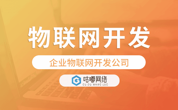 企業(yè)物聯(lián)網(wǎng)開發(fā)公司-咕嘟網(wǎng)絡(luò)科技