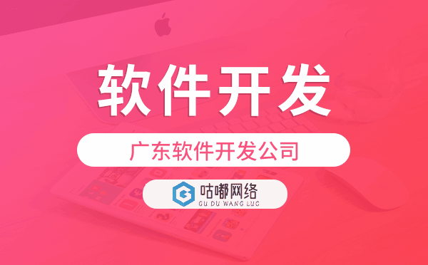 廣東軟件開發(fā)公司,實(shí)體公司歡迎參觀