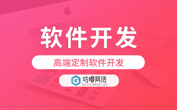 重慶軟件開發(fā)公司,高端定制軟件開發(fā)