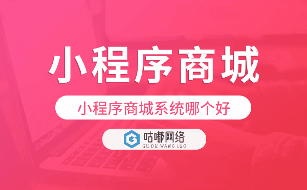 小程序商城系統(tǒng)哪個(gè)好,小程序商城開發(fā)