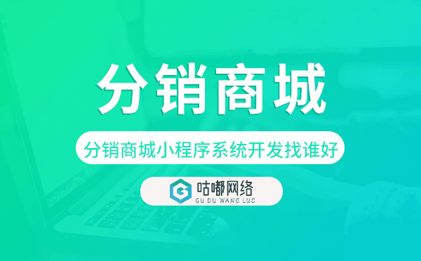 分銷商城小程序系統(tǒng)開(kāi)發(fā)找誰(shuí)好