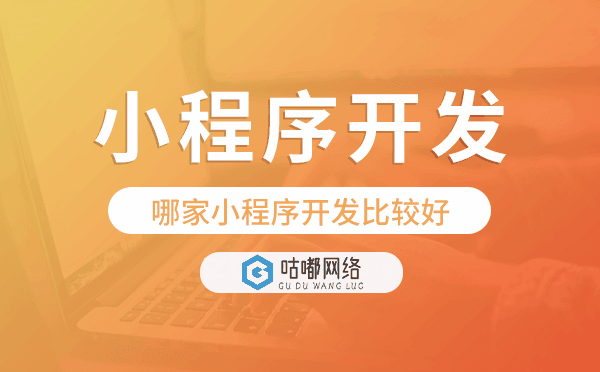 哪家小程序開發(fā)比較好,專業(yè)小程序開發(fā)公司