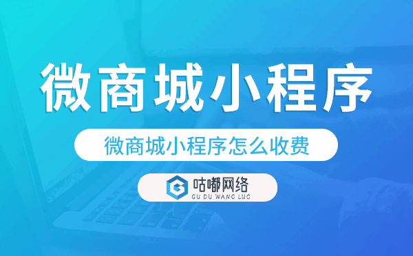 微商城小程序怎么收費,收費標(biāo)準(zhǔn)是什么