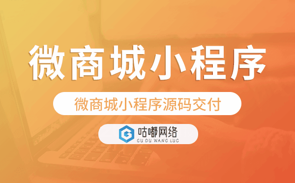 微商城小程序源碼交付,高端量身定制