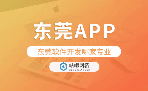 東莞軟件開發(fā)哪家專業(yè),東莞app開發(fā)
