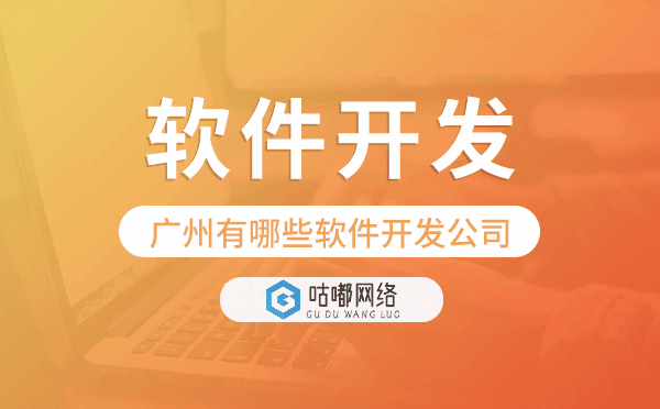重慶有哪些軟件開發(fā)公司,重慶軟件開發(fā).png