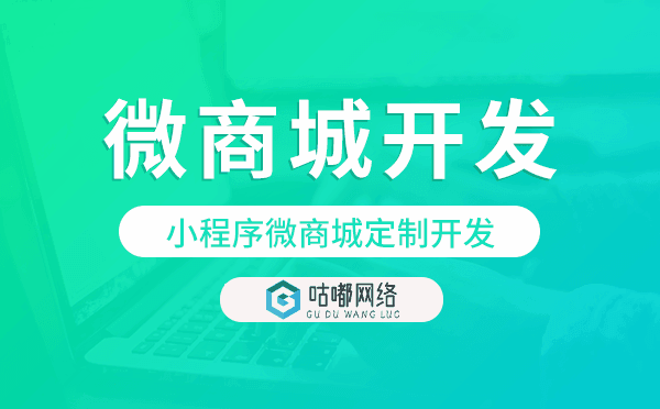 小程序微商城定制開(kāi)發(fā),重慶微商城開(kāi)發(fā)