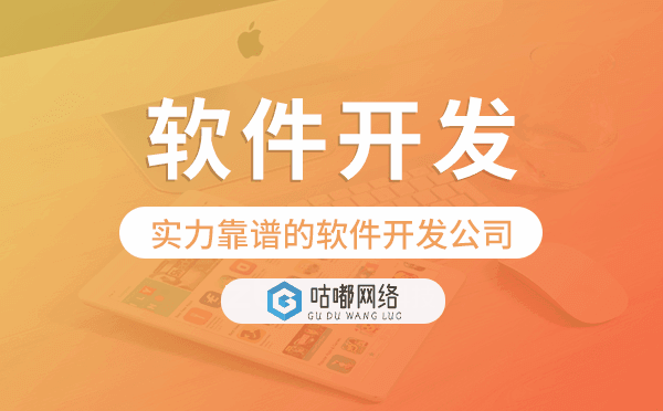 實力靠譜的軟件開發(fā)公司,重慶軟件開發(fā)