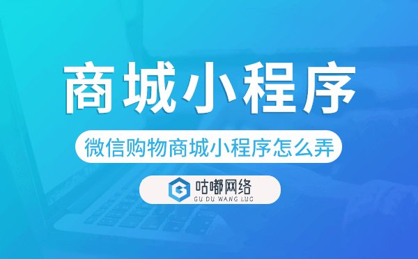 微信購(gòu)物商城小程序怎么弄,商城小程序