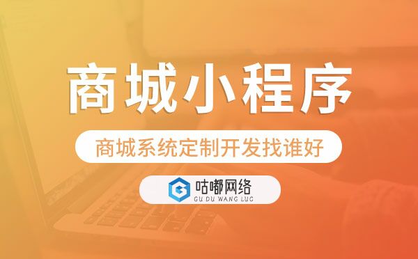商城系統(tǒng)定制開發(fā)找誰好,商城小程序定制.jpg