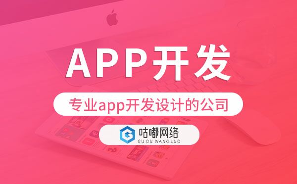專業(yè)app開發(fā)設計的公司,app開發(fā)公司